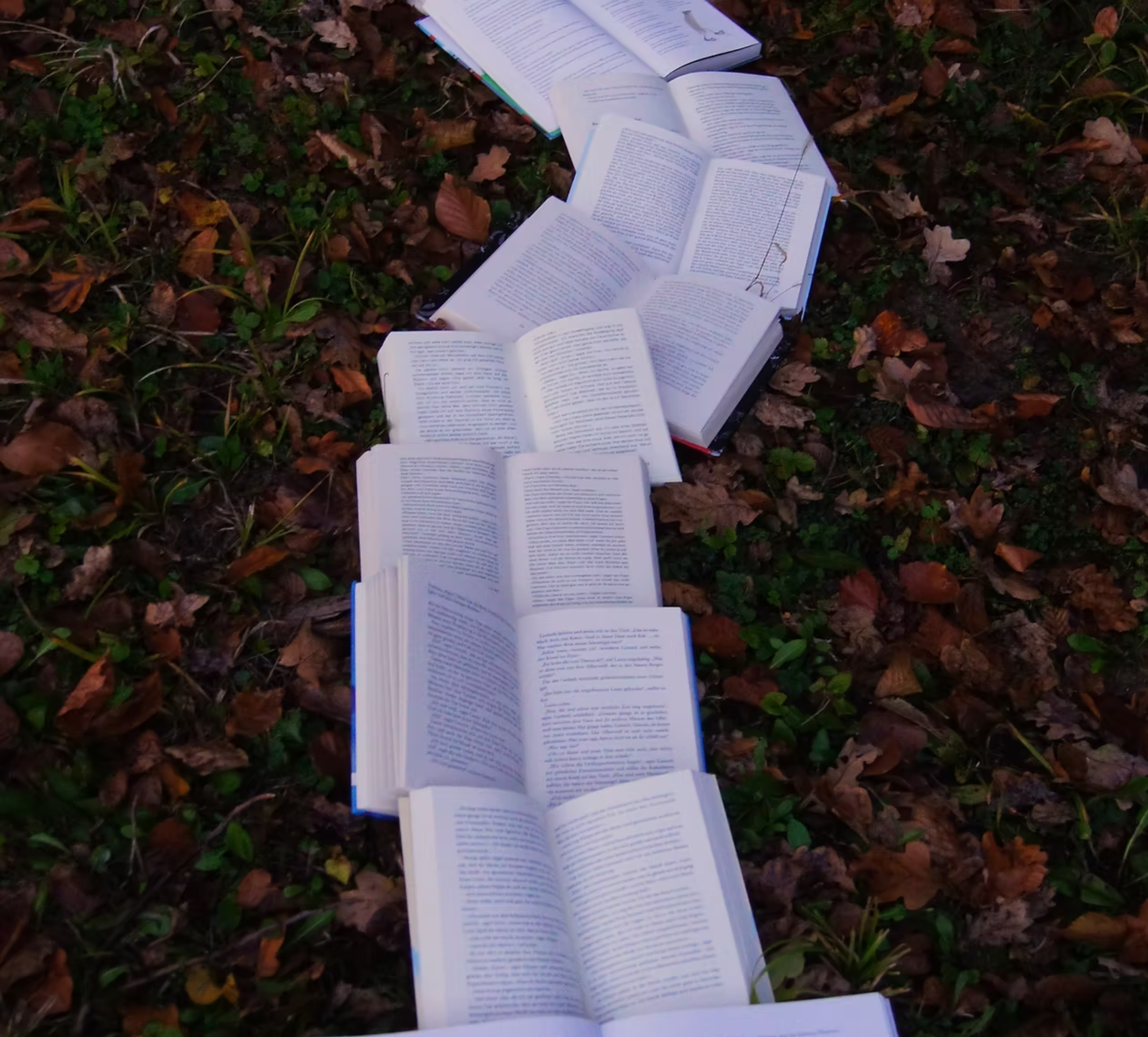 Open book