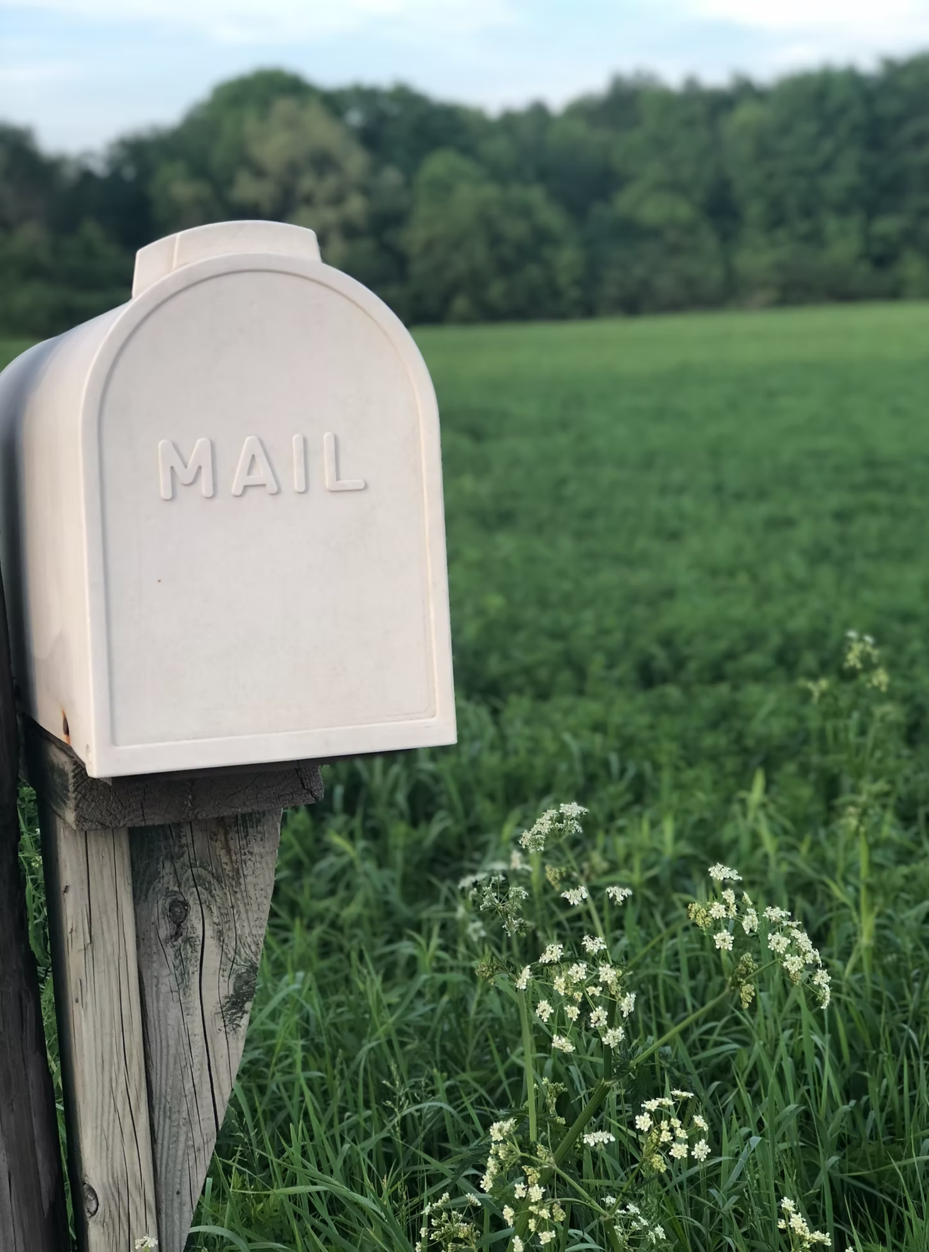 Membership and Mailing List Renewal
